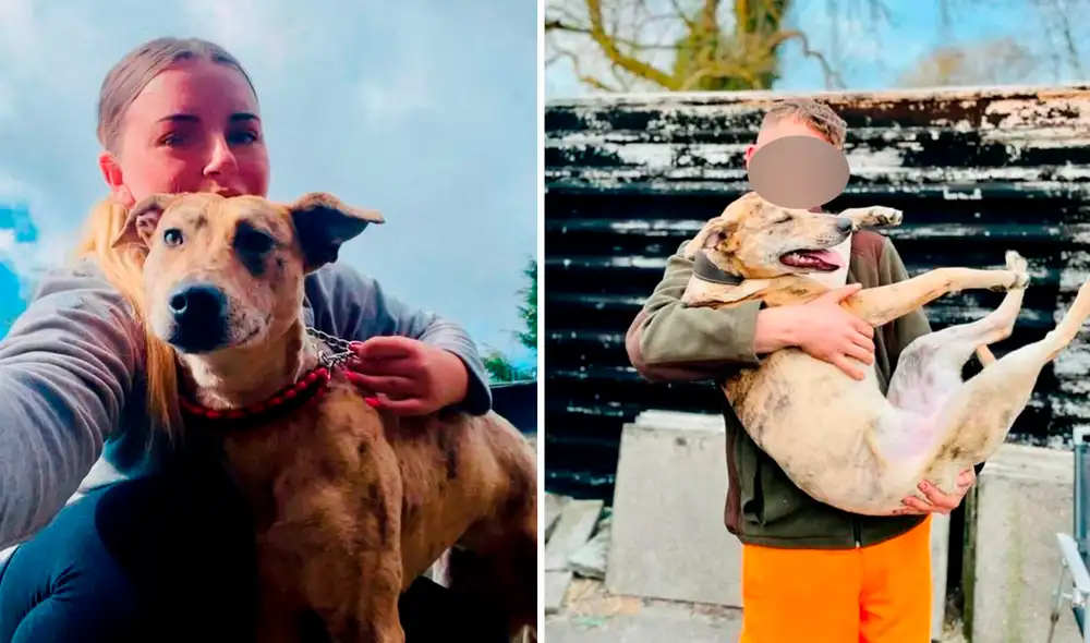 Uno de ellos tuvo quemaduras tan graves que tuvieron que dormirlo. Foto: dailystar/Emma Frowen