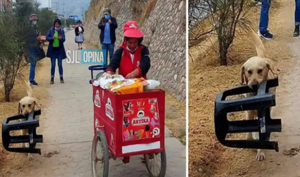 Este suceso ocurrió en el distrito de San Juan de Lurigancho. Foto: Wapa/SJL opina Este suceso ocurrió en el distrito de San Juan de Lurigancho. Foto: Wapa/SJL opina
