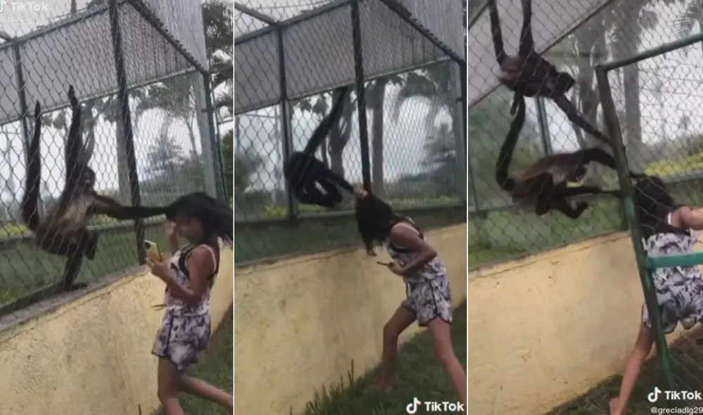 Miles de usuarios quedaron impresionados al ver estas imágenes. Foto: composición LR/captura de TikTok/@greciadlg29