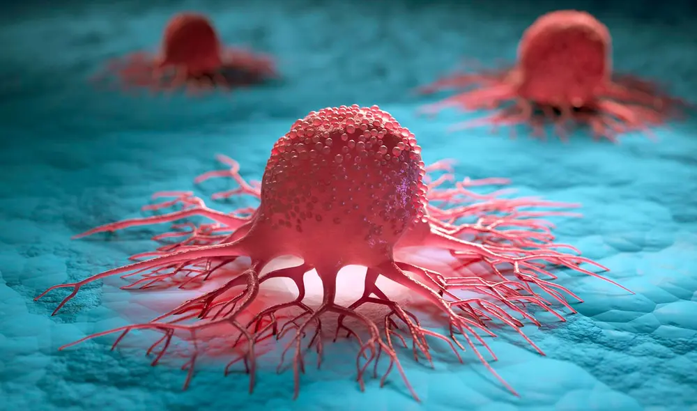 Algunos cánceres generan tumores multirresistentes. Foto: Scitech Daily