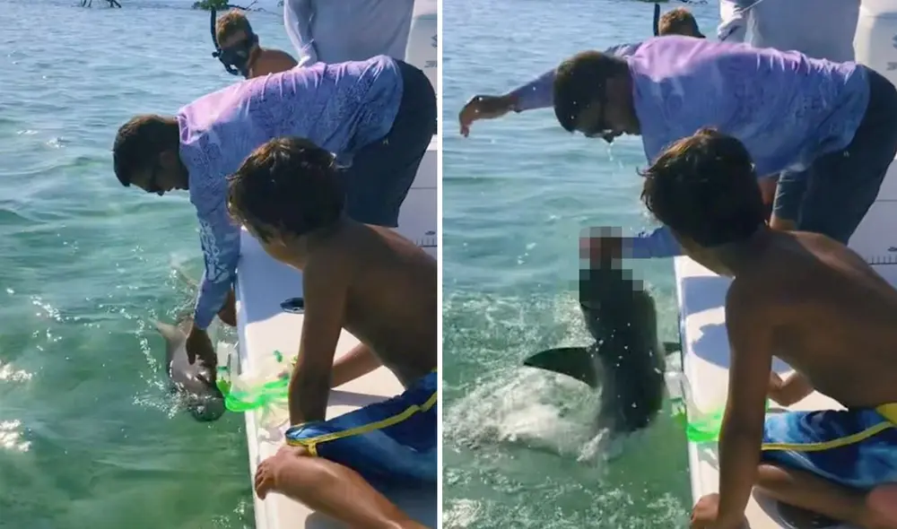 Brett intentó coger al animal para impresionar, pero no contó con la reacción del tiburón. Foto: composición LR/capturas de TikTok/@ReederMandyy Brett intentó coger al animal para impresionar, pero no contó con la reacción del tiburón. Foto: composición LR/capturas de TikTok/@ReederMandyy