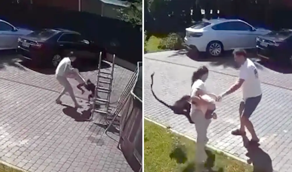 El mono llegó al jardín donde se encontraba la menor y, a pesar de que sus padres intentaron protegerla, el primate continuó atacándola. Foto: composición LR / e2w El mono llegó al jardín donde se encontraba la menor y, a pesar de que sus padres intentaron protegerla, el primate continuó atacándola. Foto: composición LR / e2w