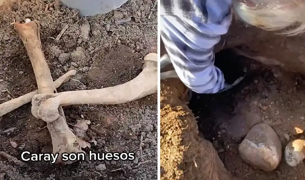 La grabación obtuvo más de 12 millones de reproducciones en la red social. Foto: composición LR/captura de TikTok/@benja.dpd_