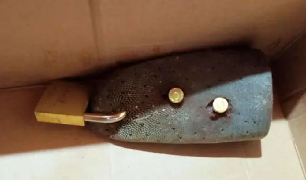 En una caja, estaba la lengua con el candado y 2 dos proyectiles. Foto: Extra