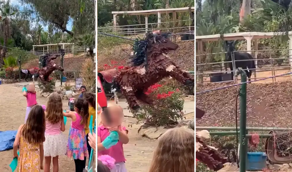 El caballo miraba atentamente cómo los niños golpeaban la piñata. Foto: composición LR/captura de Facebook/Viralhog