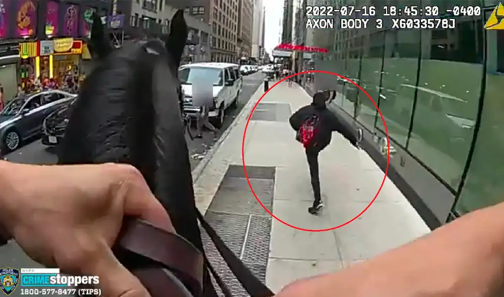 El oficial montado fue detrás del ladrón y, con la ayuda de efectivos cercanos, se realizó un arresto rápidamente. Foto: captura de Twitter/@NYPDnoticias El oficial montado fue detrás del ladrón y, con la ayuda de efectivos cercanos, se realizó un arresto rápidamente. Foto: captura de Twitter/@NYPDnoticias