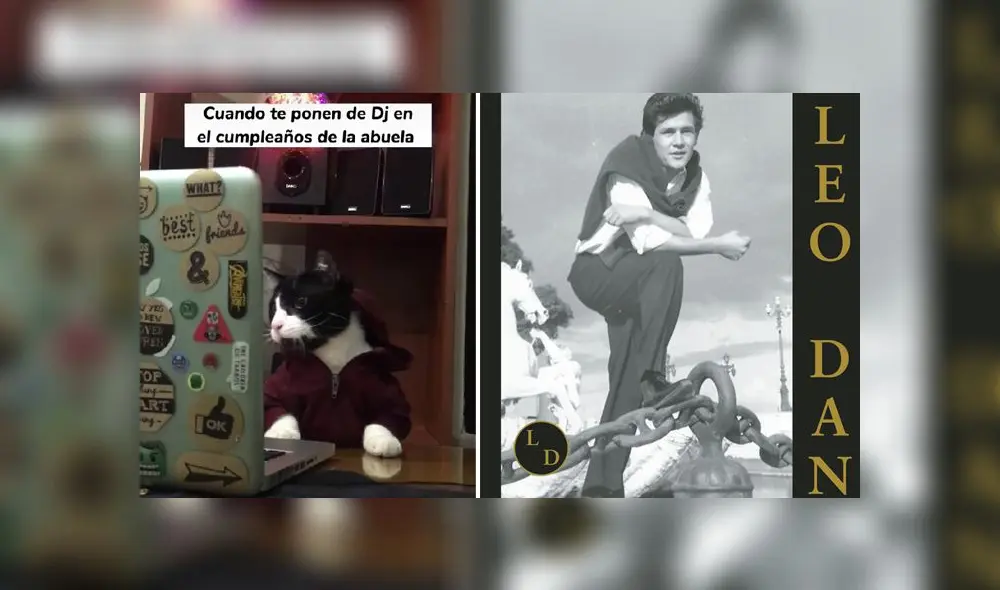 El nieto tuvo la ingeniosa idea de grabar a su gatito y colocar el remix de "Celia" de Leo Dan. Foto: composición LR/captura de TikTok