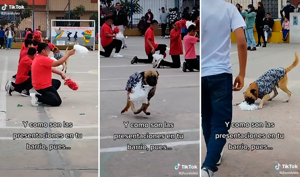 El perrito no resistió la tentación de arrebatar el pompón a un escolar. Foto: composición LR/captura de TikTok/@Jhuvalyleo El perrito no resistió la tentación de arrebatar el pompón a un escolar. Foto: composición LR/captura de TikTok/@Jhuvalyleo
