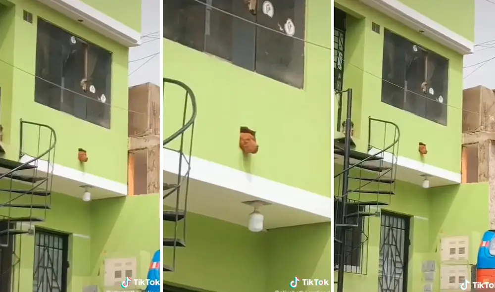 Miles de usuarios quedaron cautivados al ver esta curiosa escena. Foto: composición LR/captura de TikTok/@elizabethcandiaod Miles de usuarios quedaron cautivados al ver esta curiosa escena. Foto: composición LR/captura de TikTok/@elizabethcandiaod