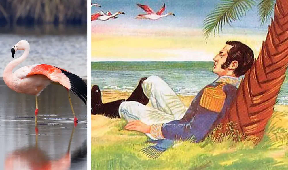 El 'Sueño de San Martín' de Abraham Valdelomar es uno de los clásicos de la historia de la Independencia. Foto: composición LR/Perú Travel/ Difusión. El 'Sueño de San Martín' de Abraham Valdelomar es uno de los clásicos de la historia de la Independencia. Foto: composición LR/Perú Travel/ Difusión.