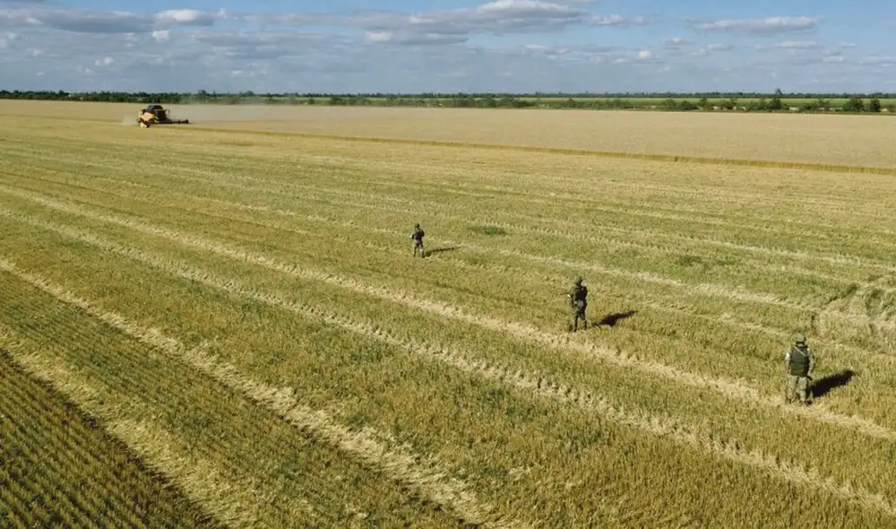 Trigo. Rusia y Ucrania representan el 30% de exportaciones. Foto: EFE Trigo. Rusia y Ucrania representan el 30% de exportaciones. Foto: EFE