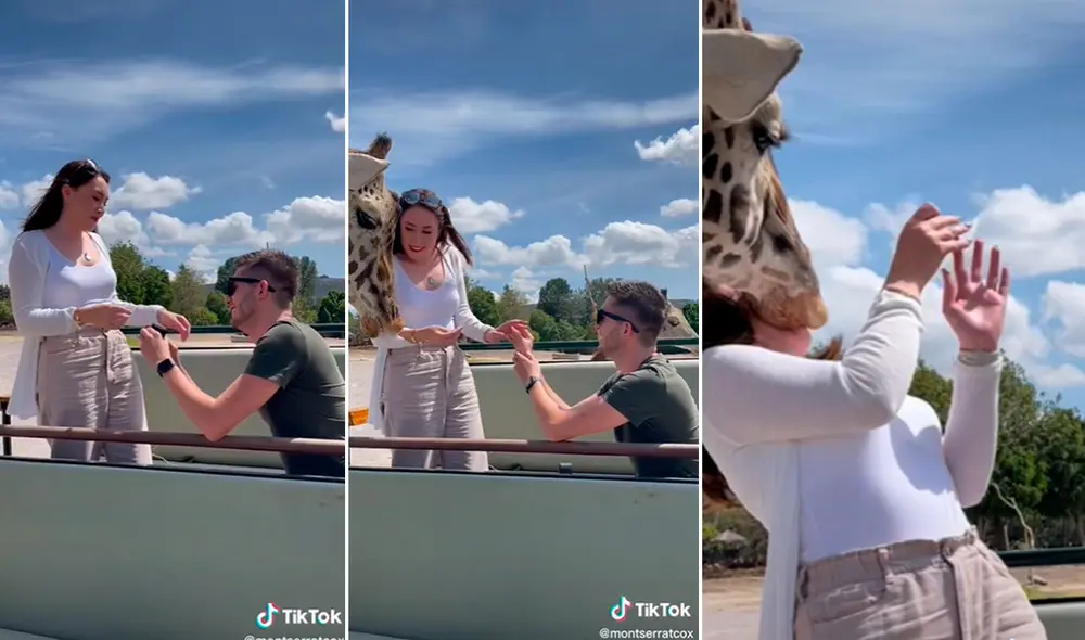 Miles de usuarios quedaron impresionados al ver estas imágenes. Foto: composición LR/captura de TikTok/@montserratcox Miles de usuarios quedaron impresionados al ver estas imágenes. Foto: composición LR/captura de TikTok/@montserratcox