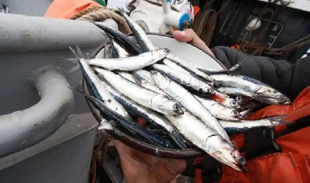 Foto: Produce Foto: Produce