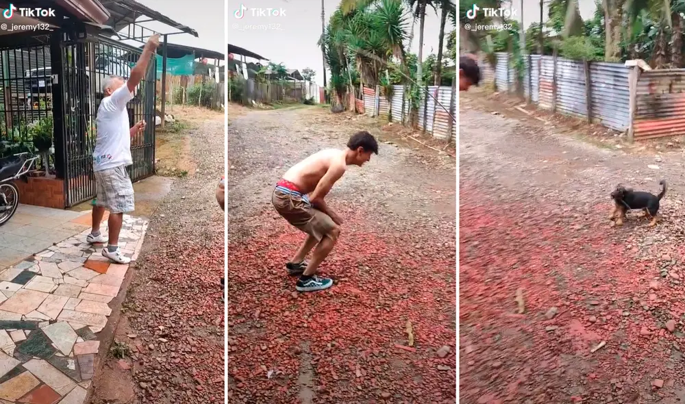 Las imágenes del perrito saltando la soga llamaron la atención de más de 4,5 millones de cibernautas. Foto: composición LR/captura de TikTok/@_jeremy132_