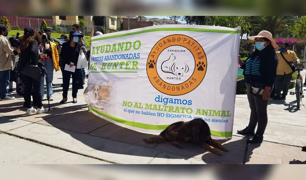 Vecinos de la zona se manifestaron en contra de la desaparición de perros. Foto: Alexis Choque/URPI Vecinos de la zona se manifestaron en contra de la desaparición de perros. Foto: Alexis Choque/URPI
