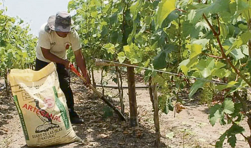 Agricultores. Exigen transparencia en proceso de compra. Foto: difusión