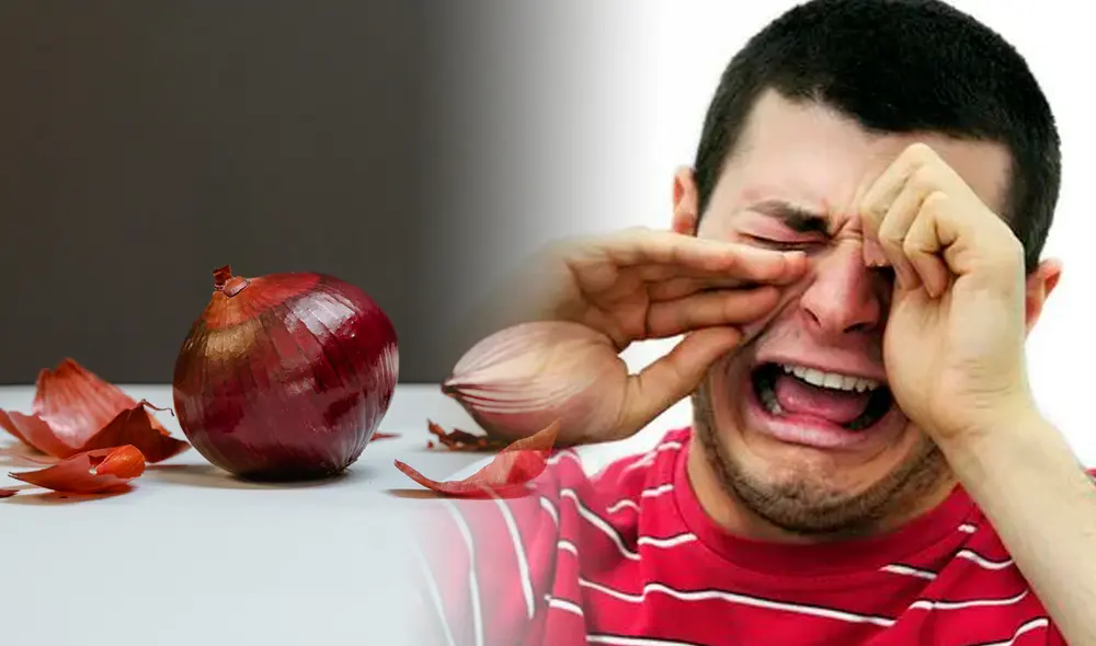 Por el amor a la cebolla, a veces no queda más que llorar. Foto: Pexels / composición de Fabrizio Oviedo / La República