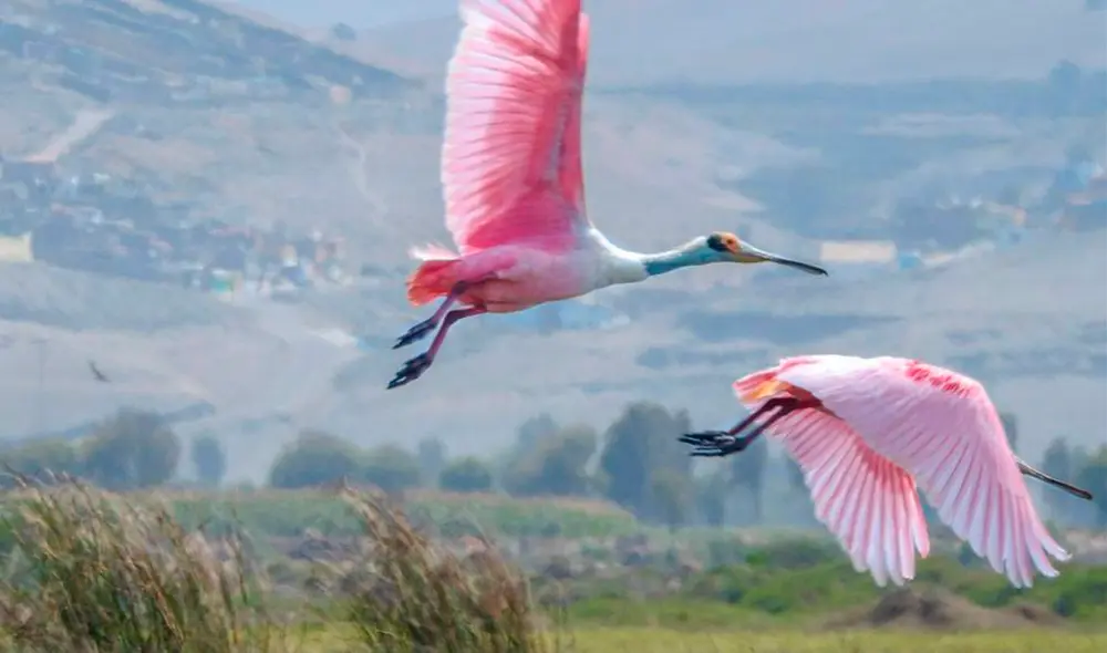 Alertan poco personal del Sernanp. Foto: Luis Gonzalo Cano