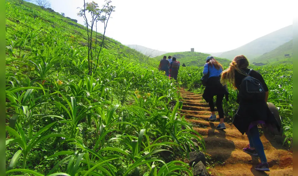 Los protocolos para viajar en Fiestas Patrias. Foto: Viajar por Perú