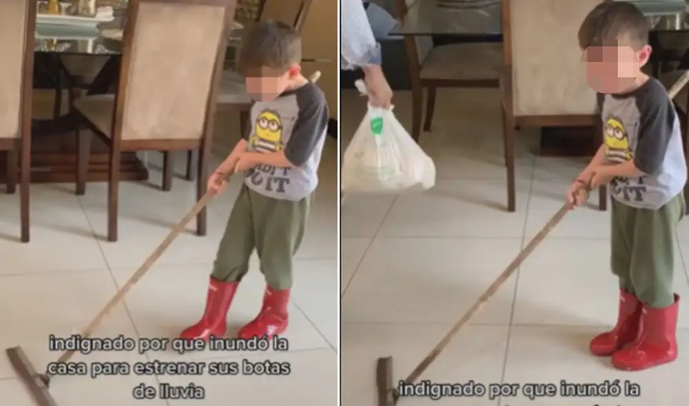 Miles de usuarios no han parado de reír con estas imágenes. Foto: composición LR/captura de TikTok/@dannalaura