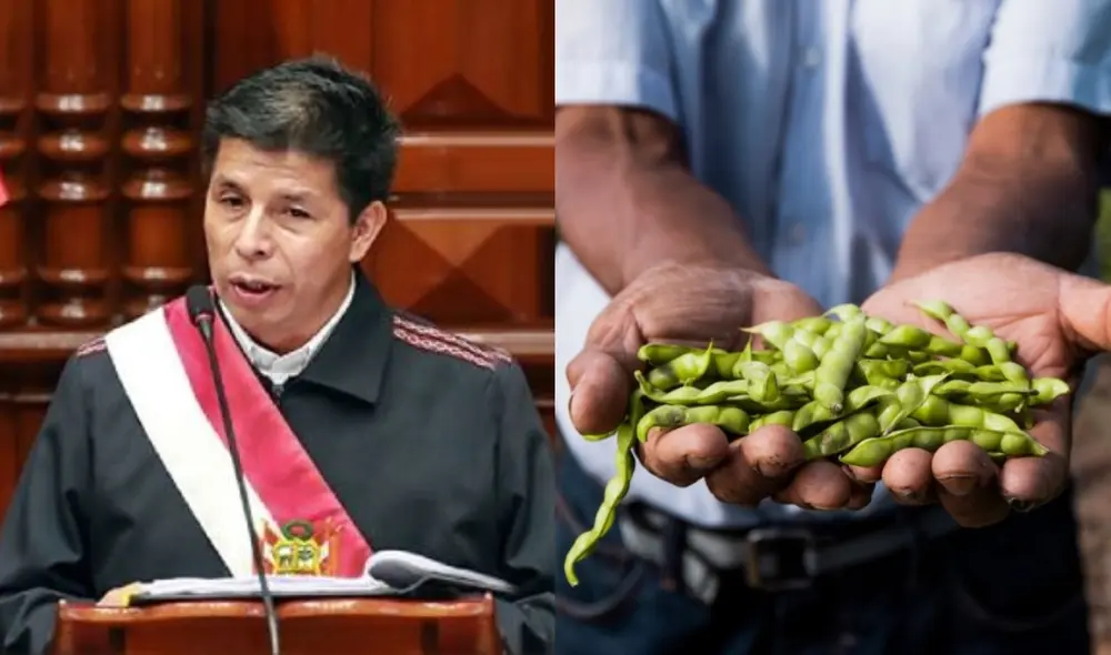 Pedro Castillo: Gobierno garantiza la campaña agrícola