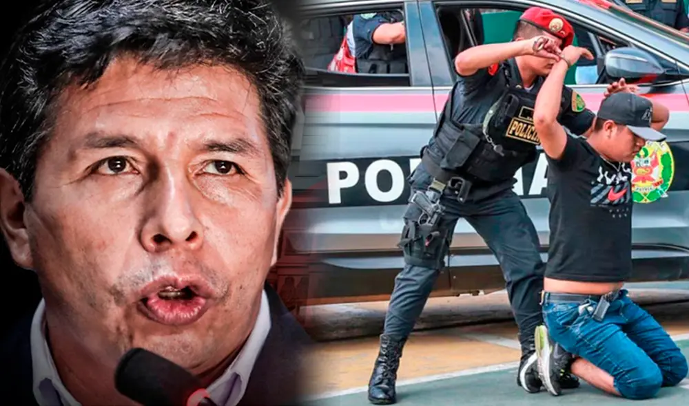 Pedro Castillo tomará medidas contra la delincuencia. Foto: composición / LR / Andina Pedro Castillo tomará medidas contra la delincuencia. Foto: composición / LR / Andina