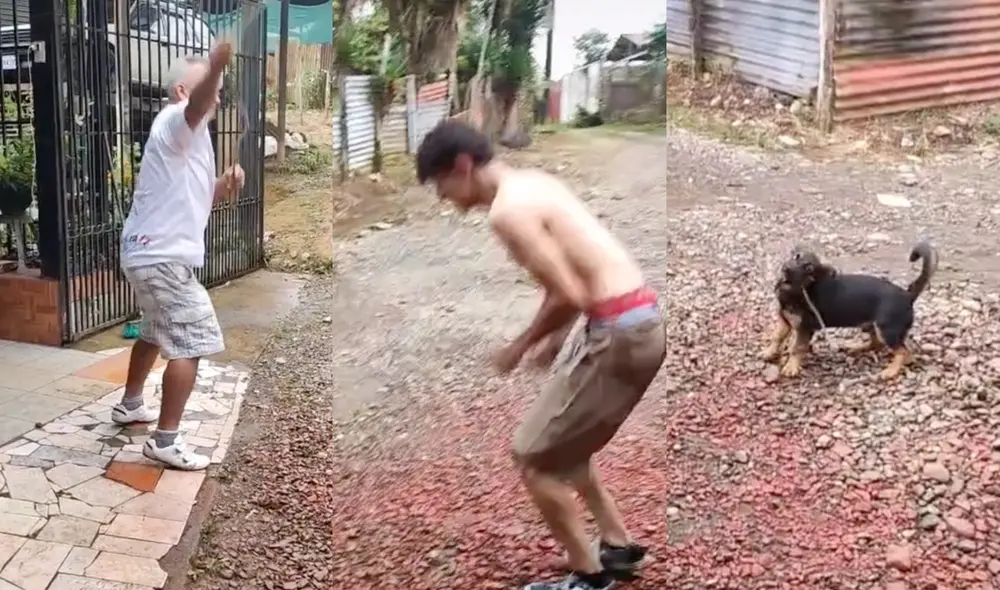 Miles de usuarios quedaron fascinados al ver este video. Foto: composición LR/captura de TikTok/@_Jeremy132_