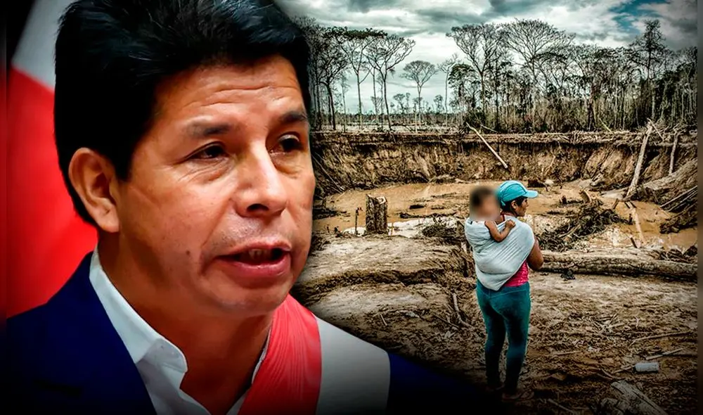 Esta propuesta se estipula la agravante de organización criminal “para el agente que comete delitos de minería ilegal”. Foto: composición Gerson Oviedo.