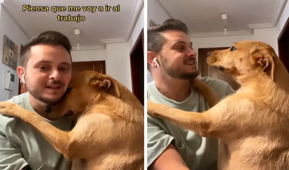 Tras percatarse de la actitud de su mascota, el joven le dijo la verdad para que no siguiera triste. Foto: composición LR/Instagram/Javiescu Tras percatarse de la actitud de su mascota, el joven le dijo la verdad para que no siguiera triste. Foto: composición LR/Instagram/Javiescu