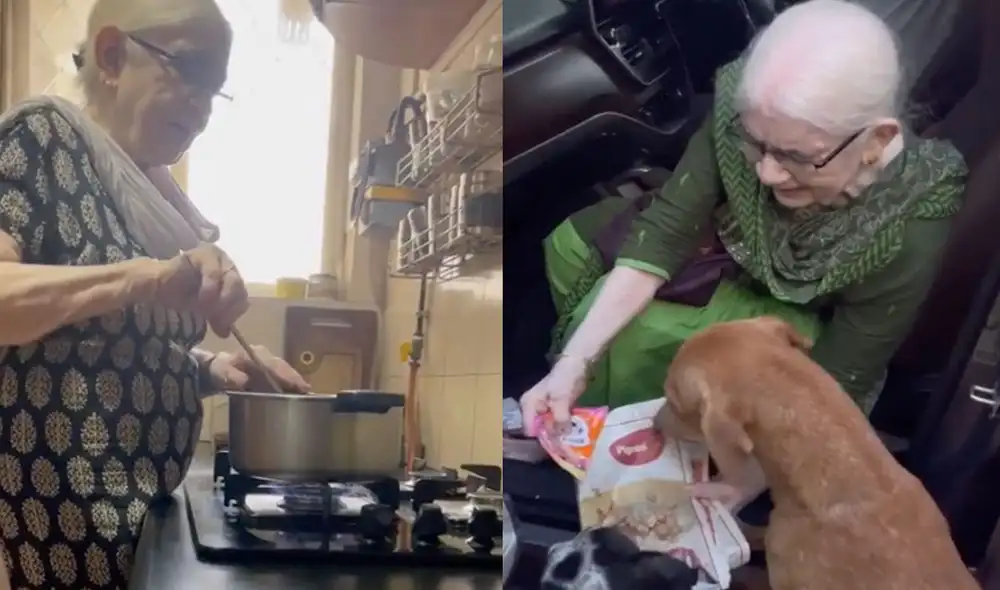 Miles de usuarios quedaron conmovidos con esta tierna historia. Foto: composición LR/captura de Instagram/@pawsinpuddle Miles de usuarios quedaron conmovidos con esta tierna historia. Foto: composición LR/captura de Instagram/@pawsinpuddle