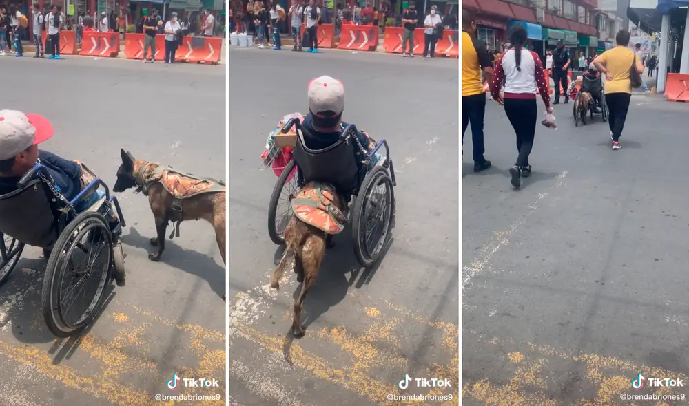 Las imágenes del perrito empujando la silla de ruedas de su dueño conmovió los corazones de 12 millones de cibernautas. Foto: composición LR/captura de TikTok/@Brendabriones9 Las imágenes del perrito empujando la silla de ruedas de su dueño conmovió los corazones de 12 millones de cibernautas. Foto: composición LR/captura de TikTok/@Brendabriones9