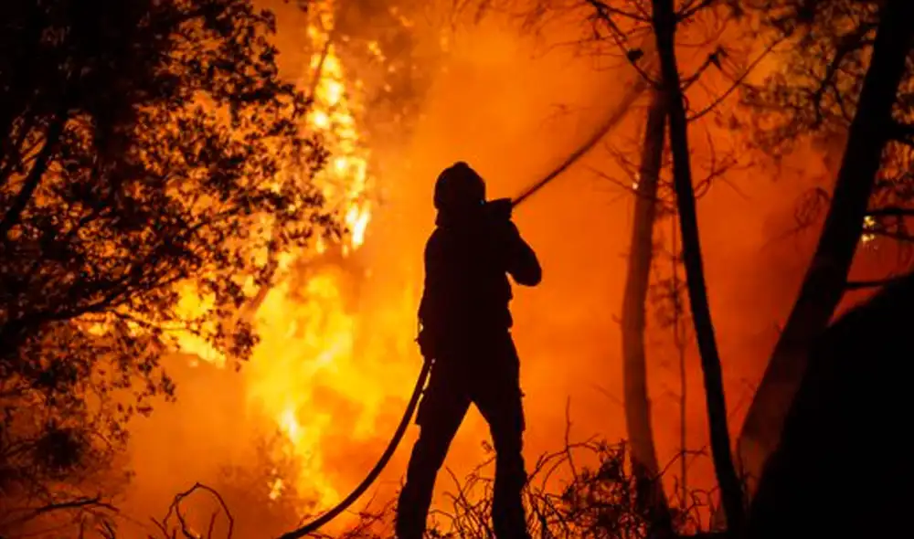 Los 2 incendios desencadenados a mediados de julio, en plena ola de calor, quemaron más de 20.000 hectáreas de bosque. Foto: EFE