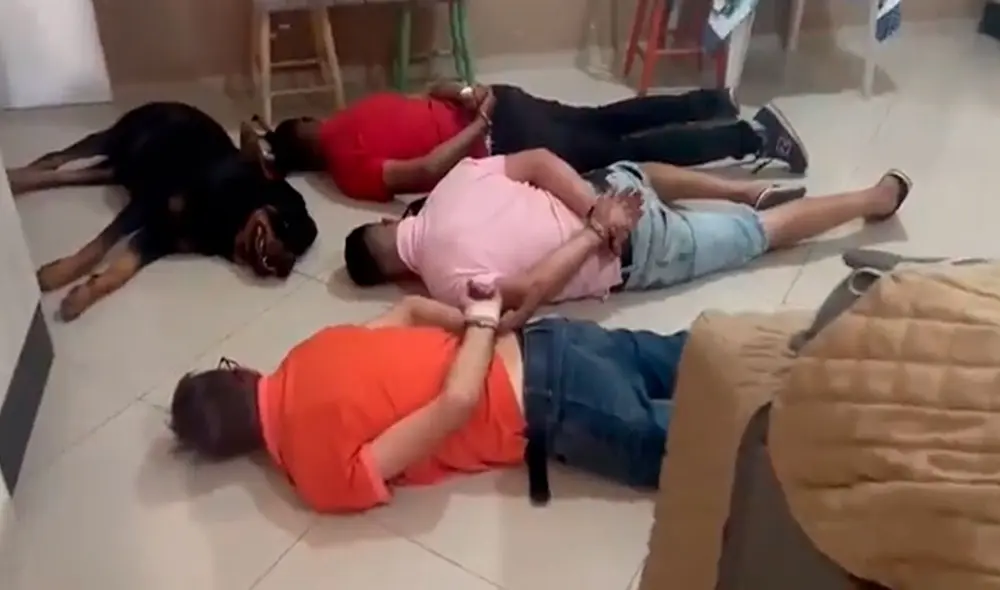 Miles de usuarios no han parado de reír con esta singular escena. Foto: captura de El Popular