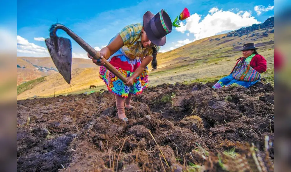El Bono Wanuchay se viene entregando en las agencias del Banco de la Nación a nivel nacional. Foto: Andina El Bono Wanuchay se viene entregando en las agencias del Banco de la Nación a nivel nacional. Foto: Andina