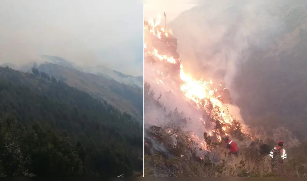 El evento viene afectando bosques de eucaliptos, especies nativas y fauna silvestre del lugar. Foto: Municipalidad de Lucre