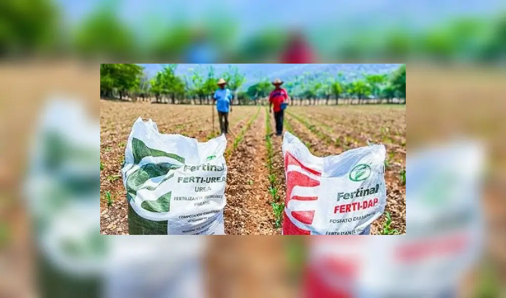 El Gobierno amplió hasta el 31 de octubre el plazo para comprar la urea. Foto: Andina