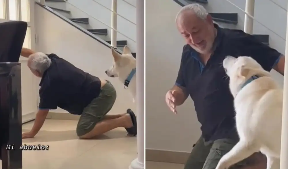 El clip protagonizado por el abuelo y su perrito emocionó a miles de usuarios en las redes. Foto: TikTok/@fabivm_0 El clip protagonizado por el abuelo y su perrito emocionó a miles de usuarios en las redes. Foto: TikTok/@fabivm_0