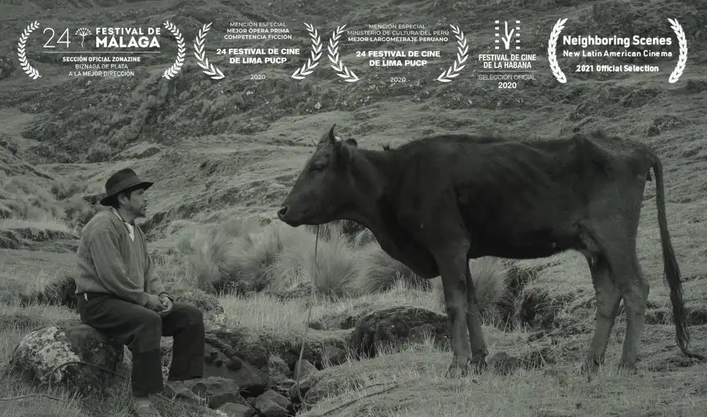 "Samichay, en busca de la felicidad" ha sido premiada en el extranjero en varios festivales y llega a cines del Perú este 4 de agosto. Foto: cortesía