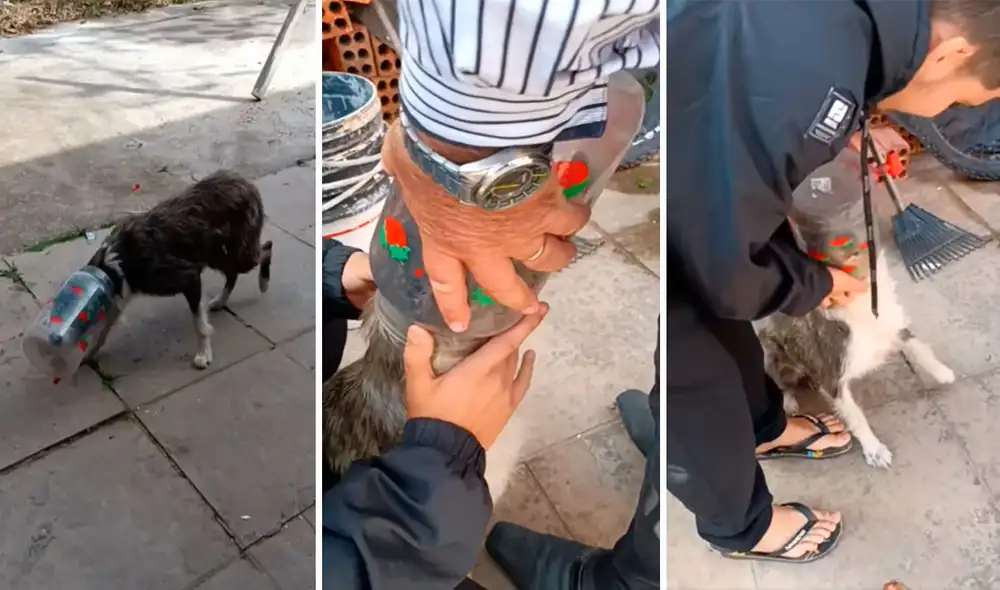Con un cuchillo, el hombre cortó con cuidado el envase de plástico que rodeaba el cuello de su can y le impedía respirar con normalidad. Foto: composición LR/YouTube/Clarín Con un cuchillo, el hombre cortó con cuidado el envase de plástico que rodeaba el cuello de su can y le impedía respirar con normalidad. Foto: composición LR/YouTube/Clarín