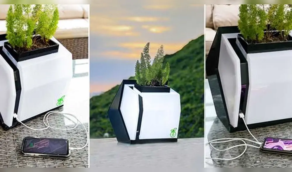 El ingeniero peruano Hernán Astos creó una tecnología para cargar un smartphone con la energía de una planta. Foto: Alinti