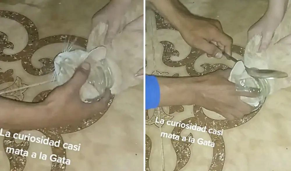 El clip, compartido en diferentes plataformas sociales, se viralizó rápidamente. Foto: @soyarimamadekiraycandi/TikTok