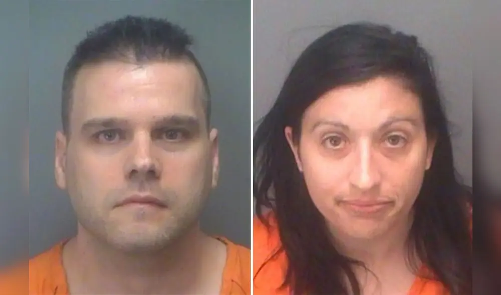 El perro, que no tenía heridas visibles, fue llevado a un hospital de animales. Foto: Oficina del Sheriff del Condado de Pinellas