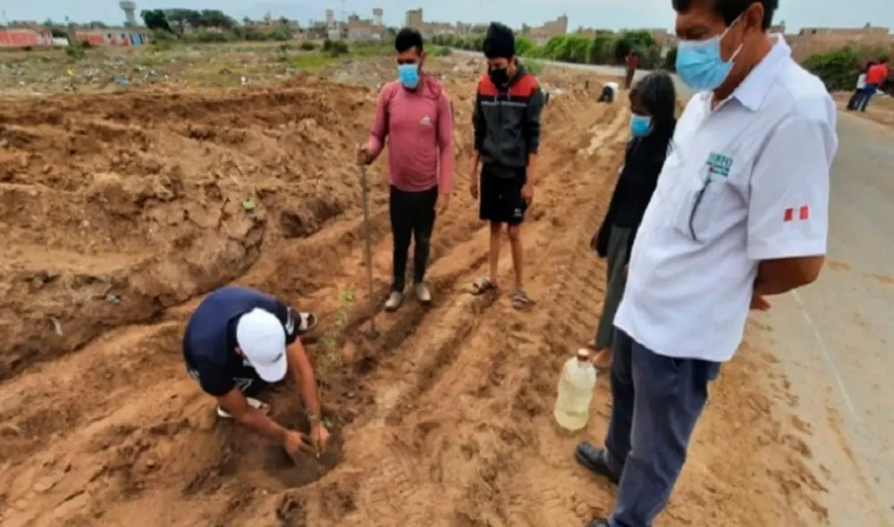 Además, se brindó orientación técnica respecto a las plantaciones forestales. Foto: Serfor Lambayeque Además, se brindó orientación técnica respecto a las plantaciones forestales. Foto: Serfor Lambayeque