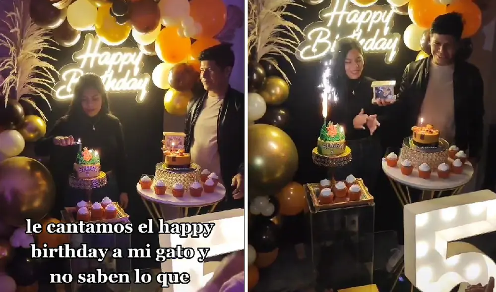 El video obtuvo más de medio millón de reproducciones en la red social. Foto: composición LR/captura de TikTok/@michelangeload El video obtuvo más de medio millón de reproducciones en la red social. Foto: composición LR/captura de TikTok/@michelangeload