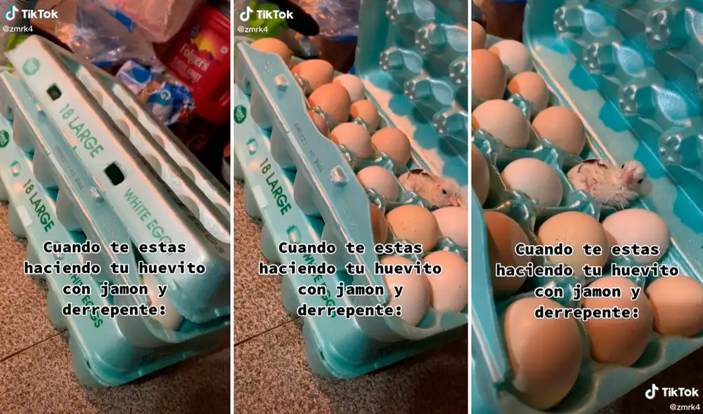 El clip ha logrado más de 18 millones de visualizaciones y miles de comentarios en redes. Foto: composición LR/captura de TikTok/@Zmrk4