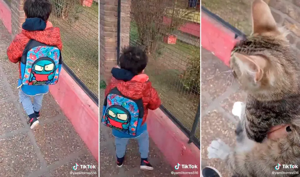 El clip ha logrado cerca de 10 millones de visualizaciones. Foto: composición LR/captura de TikTok/@Yamiitorres516