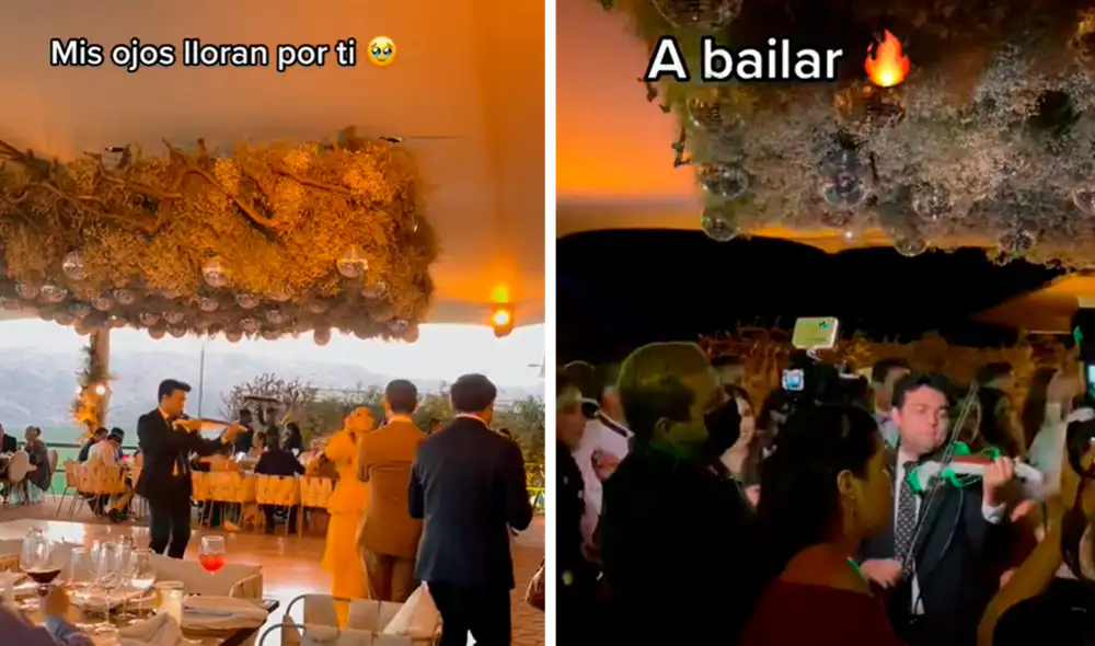 El video viral obtuvo más de 3,4 millones de reproducciones en la red social. Foto: composición LR/captura de TikTok/@fidevelarde