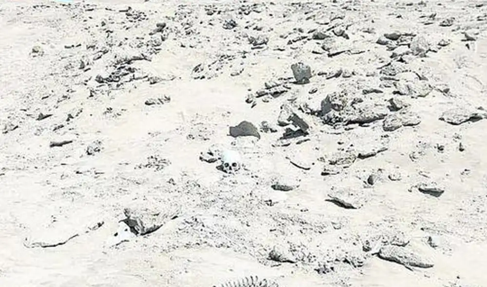 Zona arqueológica constantemente ha sido vulnerada. Foto: Cortesía diario Correo/Archivo Zona arqueológica constantemente ha sido vulnerada. Foto: Cortesía diario Correo/Archivo