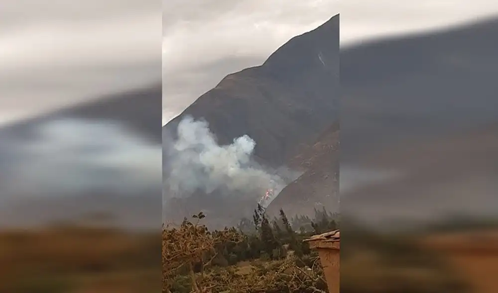 El Centro de Operaciones de Emergencia Regional (COER) reportó que el fuego ha consumido cobertura vegetal. Foto: RSD Chimbote
