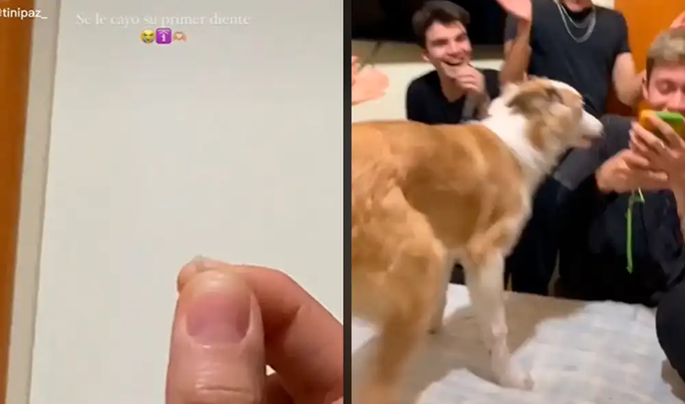 Este hecho sucedió en Argentina. Foto: composición LR / TikTok / @tinipaz_
